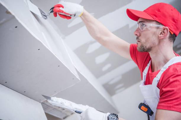 Best Black Mold Removal  in Socorro, TX